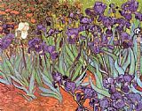 Irises at Saint Remy by Vincent van Gogh